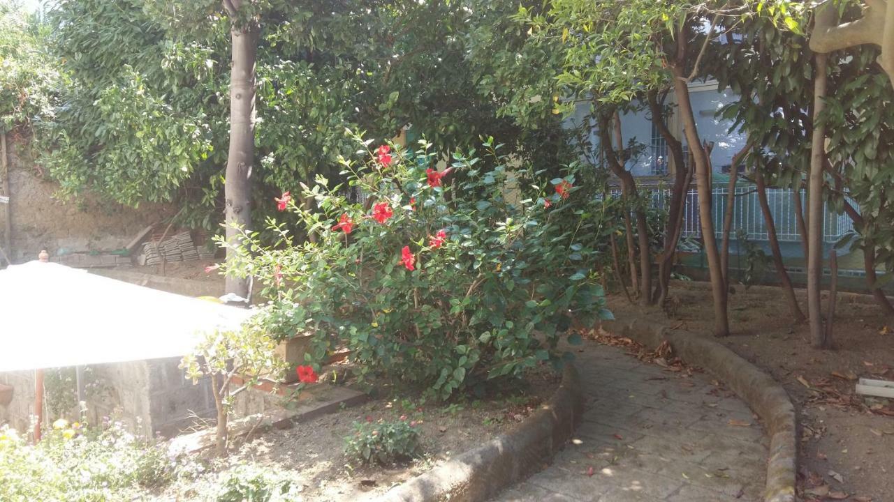 梅塔Casa Pollio公寓 外观 照片